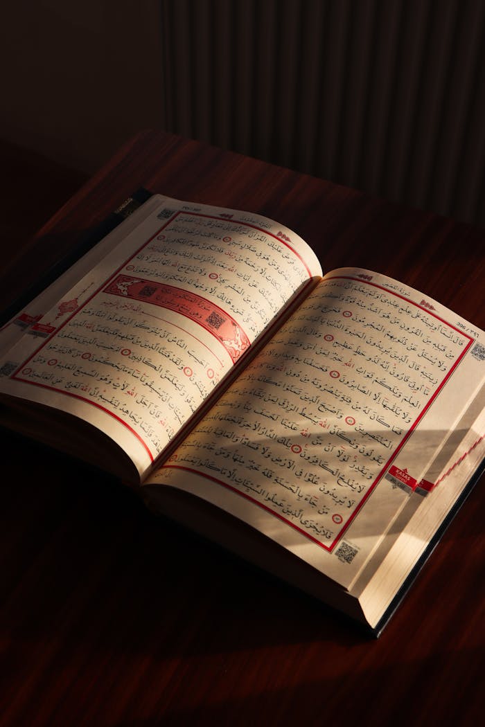 services-01 Sunlit Quran open on a wooden table, showcasing detailed Arabic script.